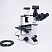 Olympus CKX41
